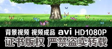 大树爆料视频大全下载 第1张 大树爆料视频大全下载 第1张